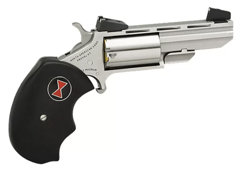 North American Arms Black Widow Revolver Combo 22Mag/22LR