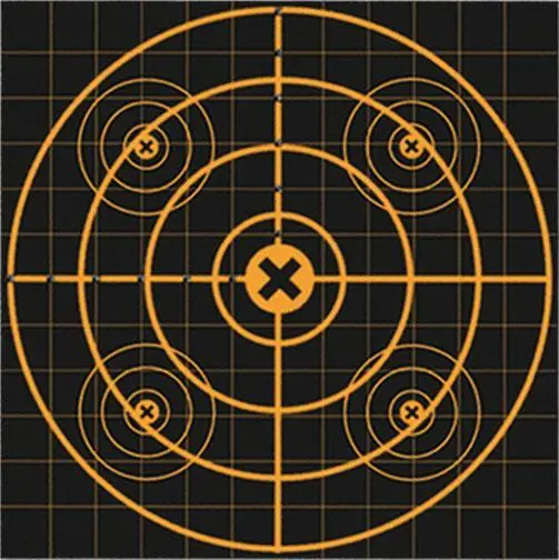 Birchwood Casey Big Burst Revealing Targets Sight-In 12" 3/ct