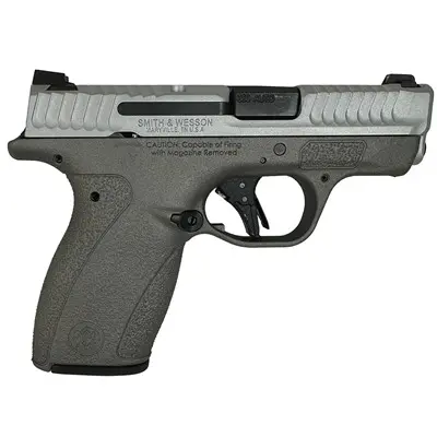 BODYGUARD 2.0 380ACP (1)10(1)12 MAGS NTS SATIN GUN METAL