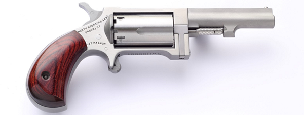 North American Arms SIDEWINDER 22M/22LR 2.5" SS NAA-SWC-250