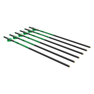 CP 400 Carbon Arrow, 6pk