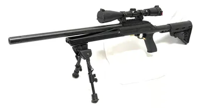 RUGER 10/22 (Used)