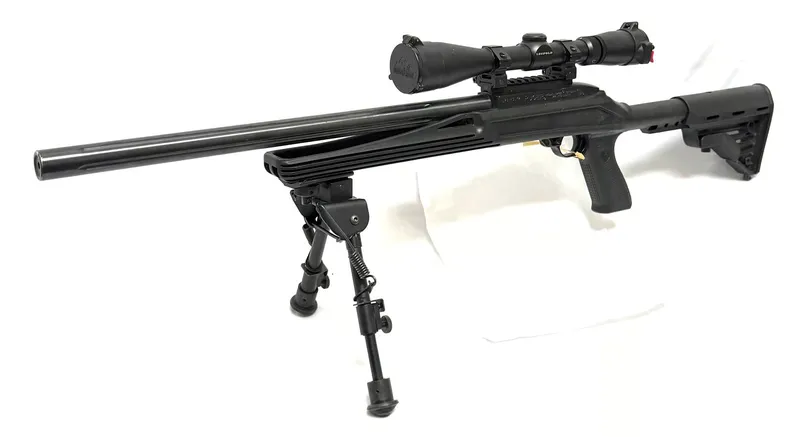 RUGER 10/22 (Used)