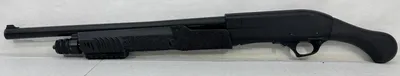 CHIAPPA FIREARMS 301 (Used)