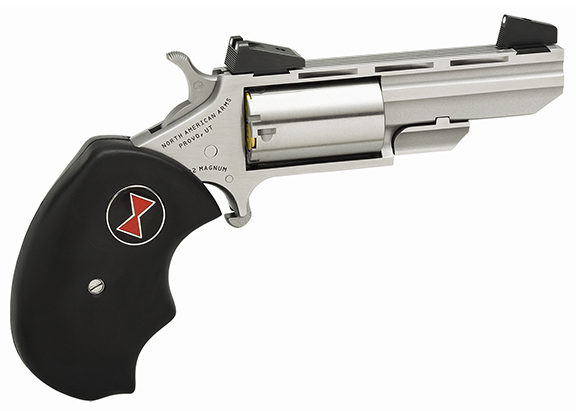 NAA Black Widow .22 Magnum Revolver, Stainless, 5RD