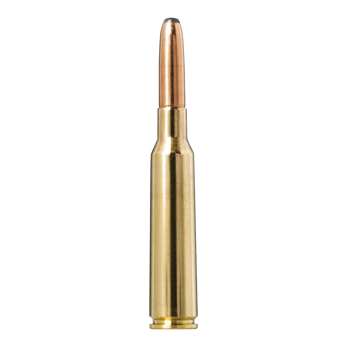 Norma Whitetail 8x57 JS 196 gr SP 20rds Rifle Ammo for Big Game Hunting - 20180452