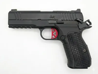 DAN WESSON FIREARMS DWX COMPACT (Used)