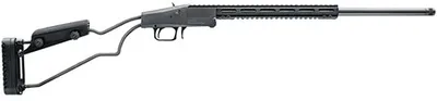 CHIAPPA FIREARMS BIG BADGER