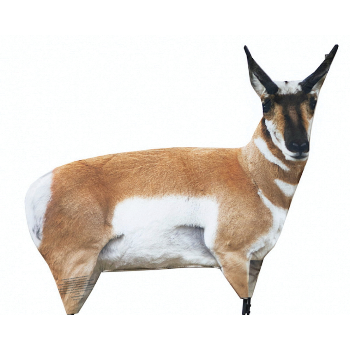 Montana Decoy Antelope Buck Decoy