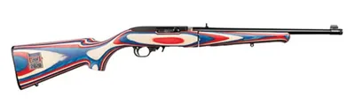 RUGER 10/22 USA SHOOTING TEAM