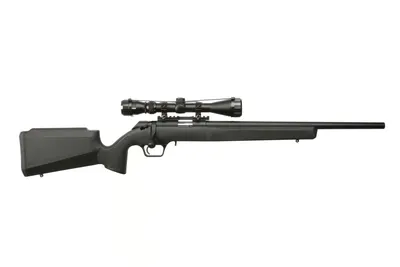 SPRINGFIELD ARMORY 2020 RIMFIRE TARGET