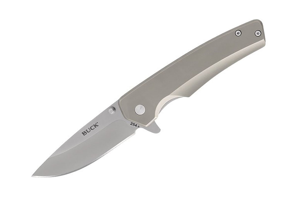 Buck Odessa Folding Drop Point Knife, Light Gray - 0254SSS-C