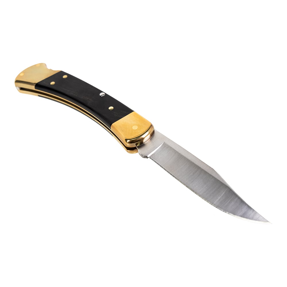 Buck 110 Hunter Folding Clip Point Knife, Ebony Wood - 0110BRS-B