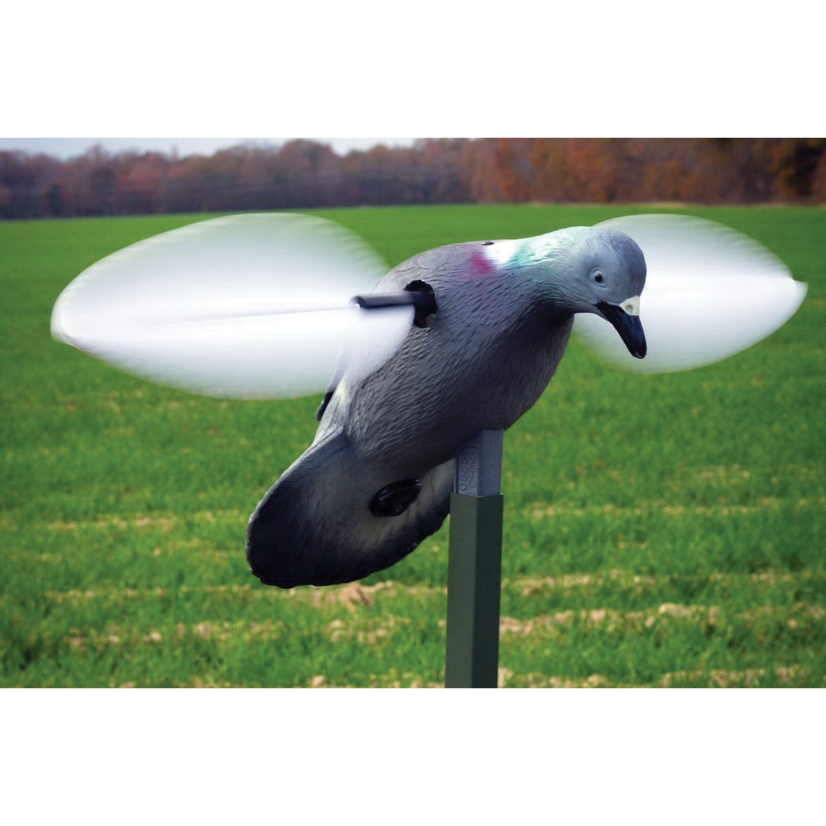 Mojo Outdoors Decoy, Pigeon - HW2410