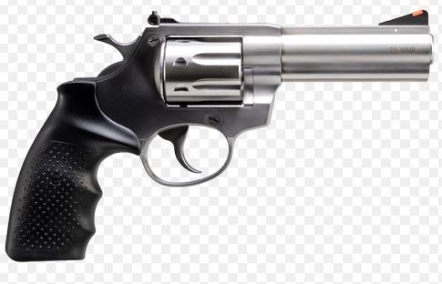 RIA AL22M 22WMR Revolver - Stainless Steel 8RD