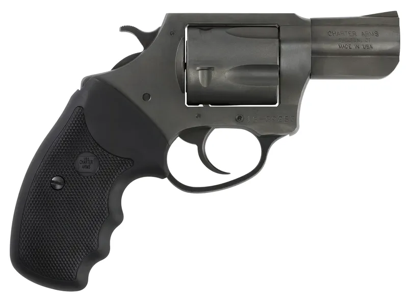 CHARTER ARMS PIT BULL
