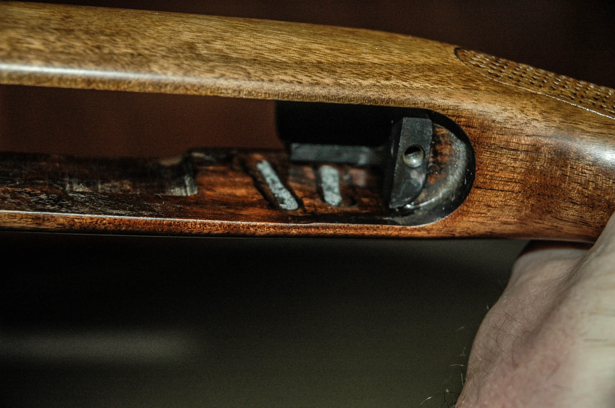 WINCHESTER 100 (Used)