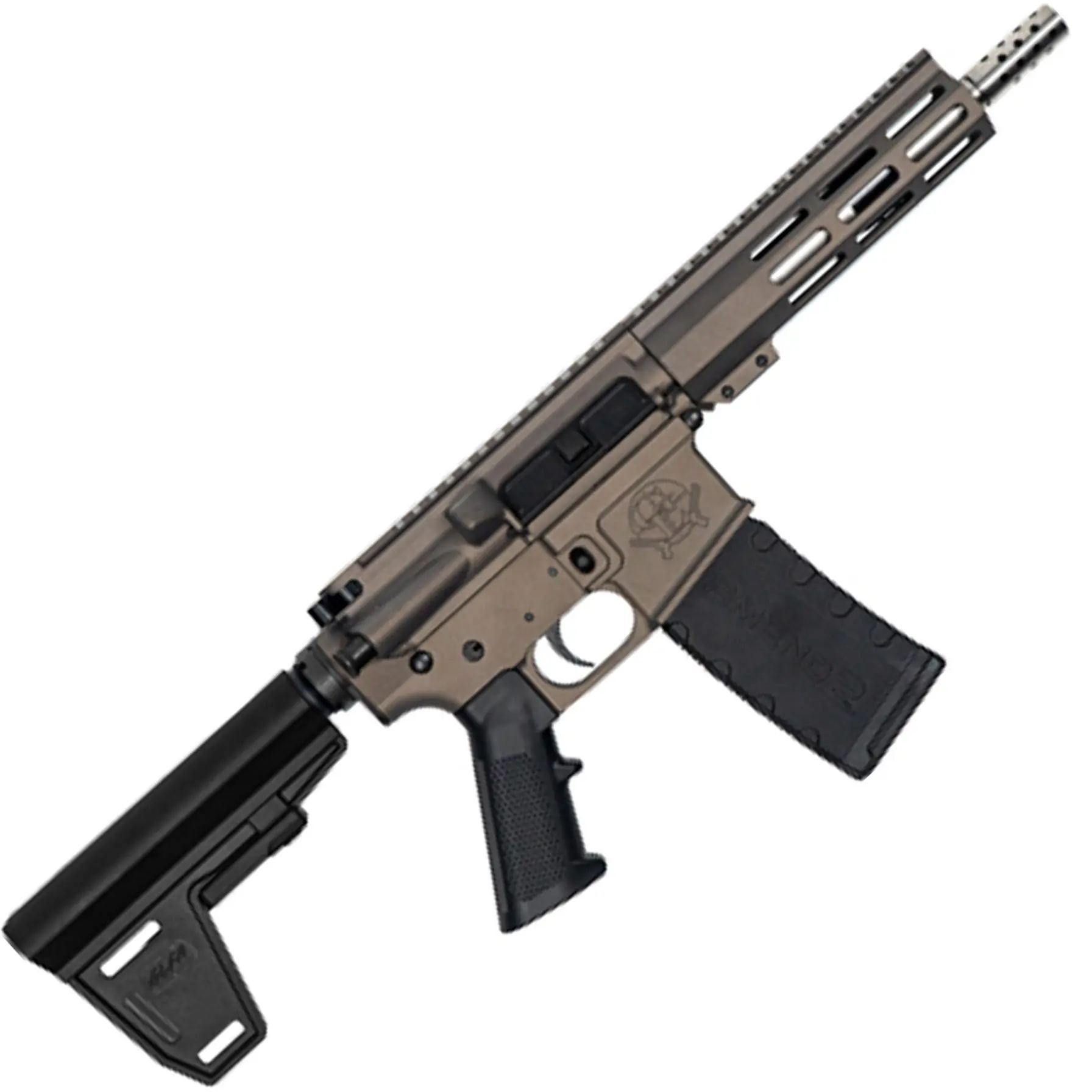 223WYLDE PSTL W/BRC SS 30R TNG