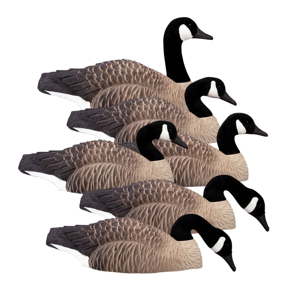Higdon Outdoors Magnum Half Shell Canada 6-Pack Goose Decoy