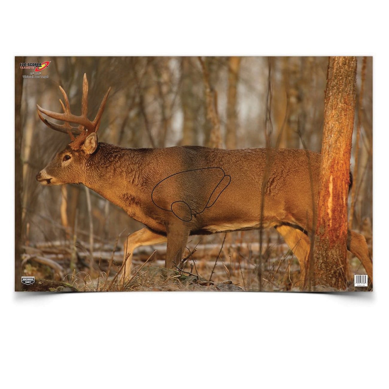 Birchwood Casey EZE-Scorer 23" x 35" Whitetail Deer Target, 2/pack - 37481