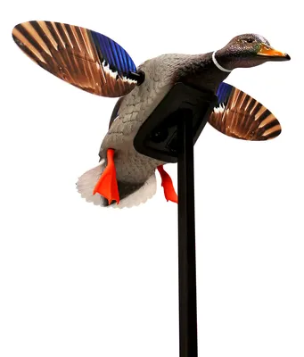 MOJO ELITE SERIES
