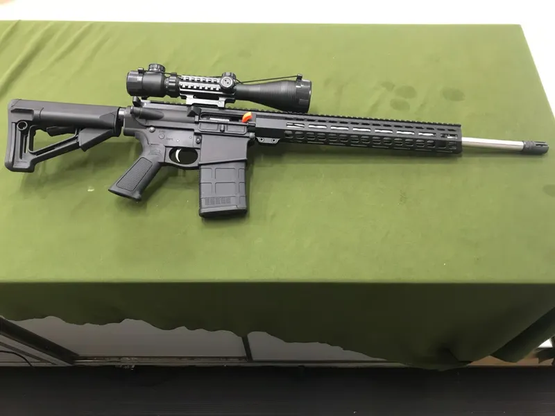 PALMETTO STATE ARMORY G3-10 (Used)