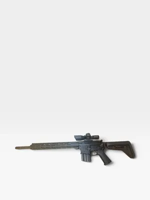 RUGER AR-556 (Used)