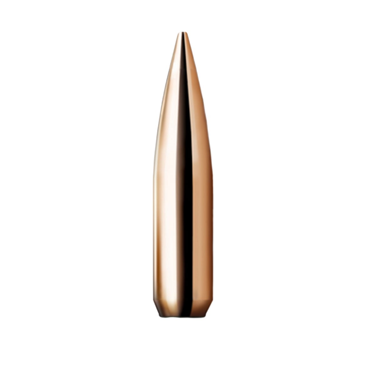 Nosler 22 Caliber (.224) 69gr Custom Competition Hollow Point Boat Tail Bullets 100ct - 17101