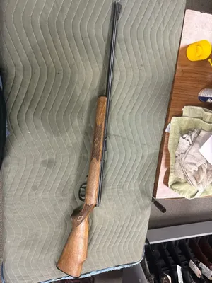 MARLIN 25MN (Used)
