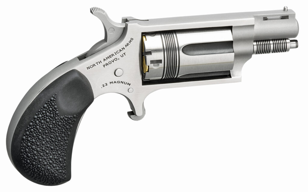 North American Arms THE WASP 22MAG REV 1-1/8" SS NAA-22MS-TW