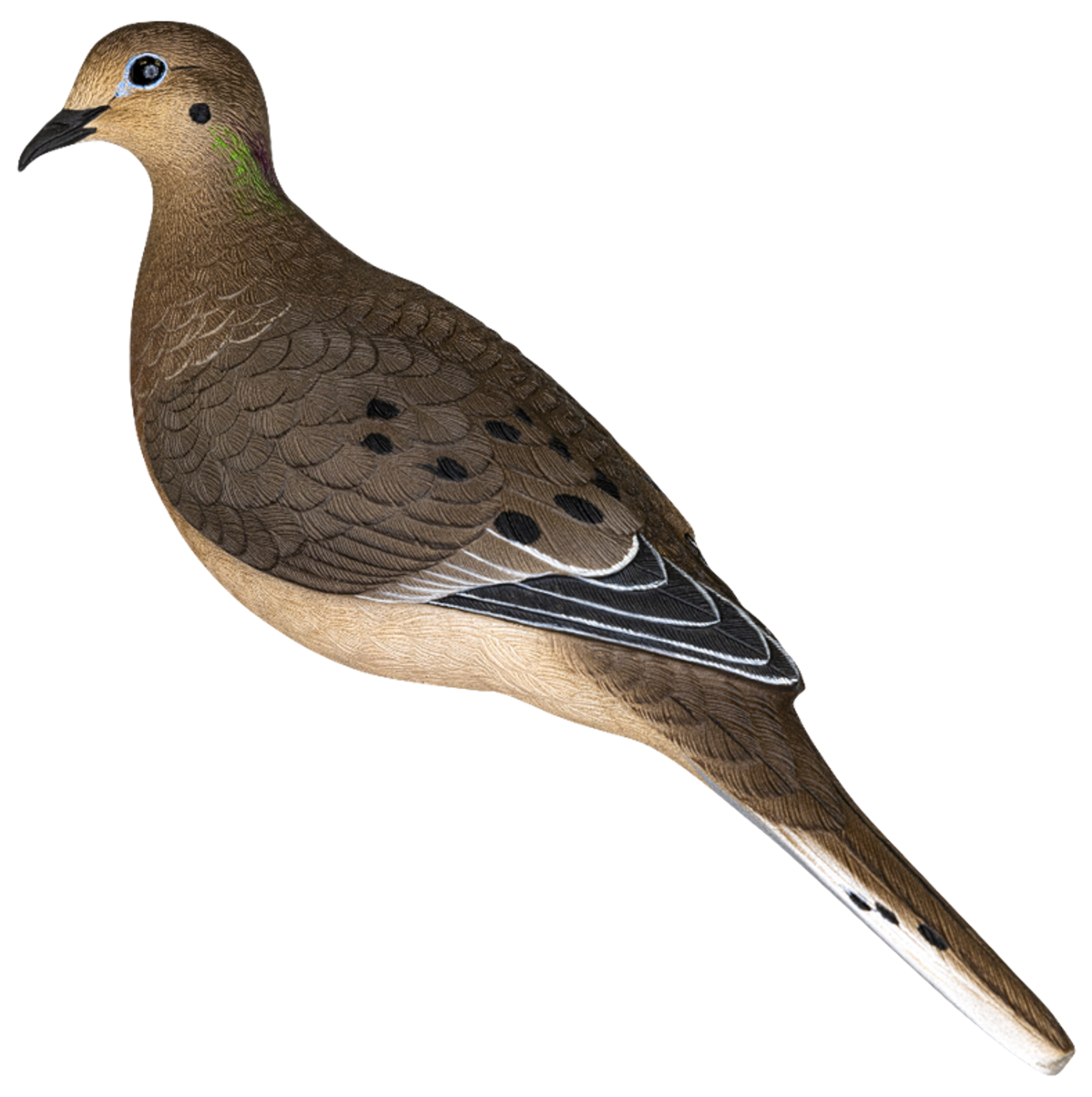 Avian X Full Body Dove Decoys Multi-Color 6 Pack