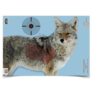 BIRCHWOOD CASEY PreGame 16.5?x24? Coyote Target - 3 targets