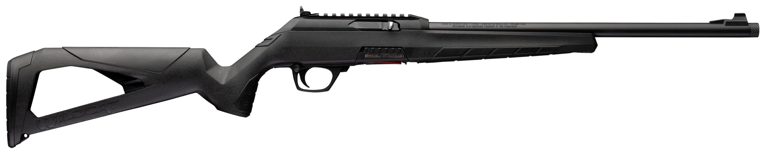 Winchester Wildcat SR 22LR Semi-Auto Rifle