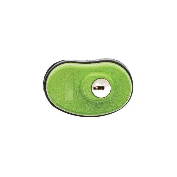 Lockdown Keyed Trigger Lock