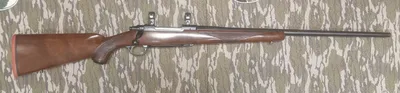 RUGER M77 (Used)
