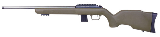 BLG DIANA R-22 22LR Bolt Action Rifle