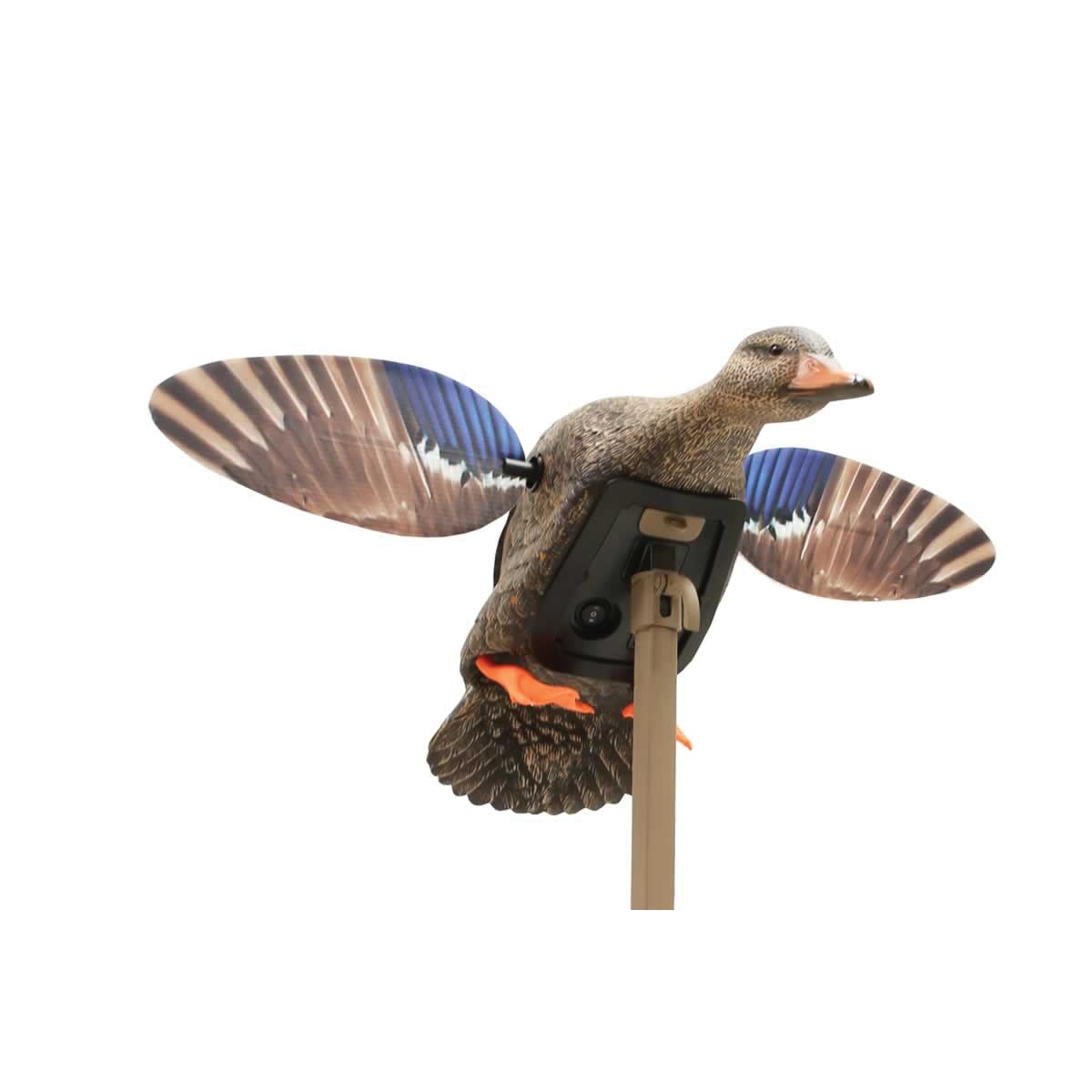 Mojo Outdoors Elite Mini Mallard Hen Decoy