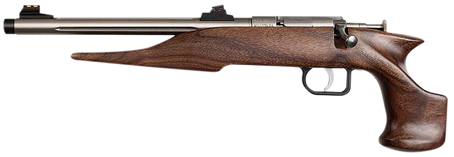 Chipmunk 40101 Youth .22 LR Single Shot Pistol