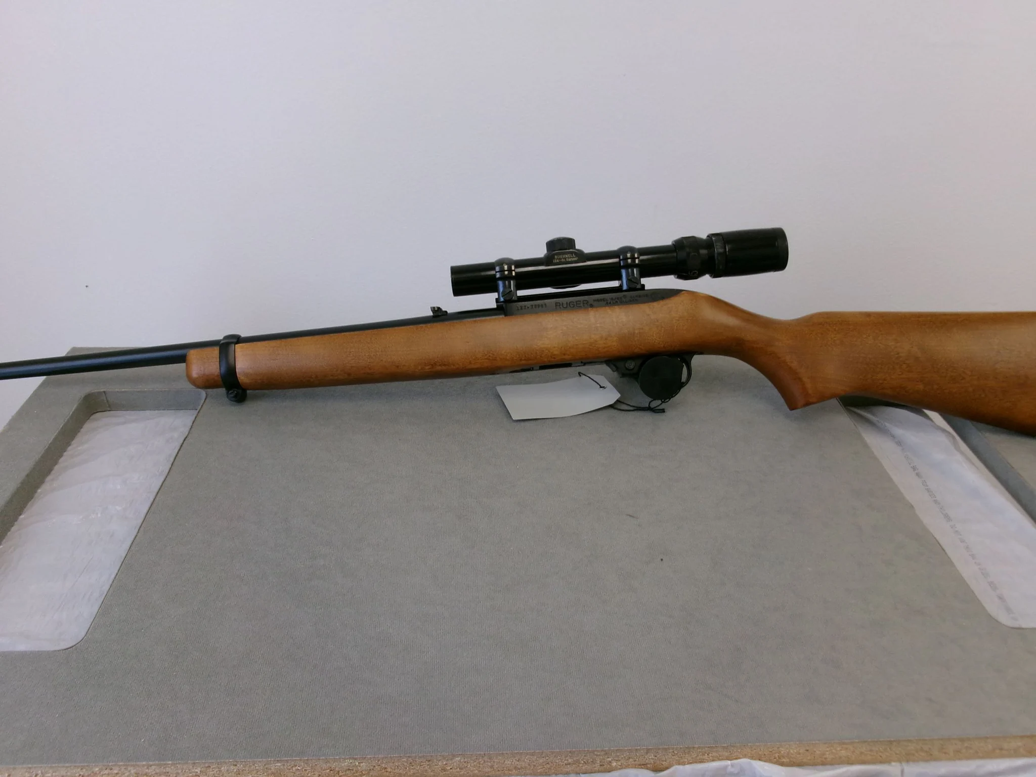 RUGER 10/22 (Used)
