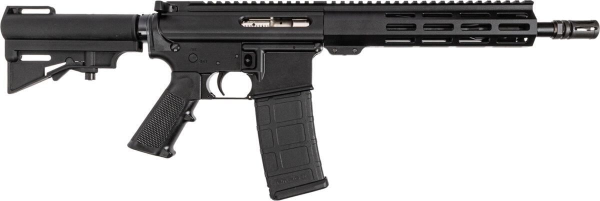DPMS/Panther Arms DPM SHORTCL PST 5.56 30RD 10.5