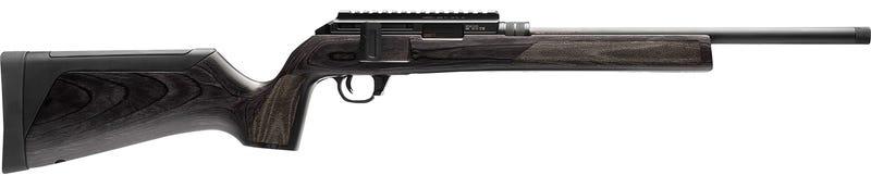 Walther Arms Inc WAI HAM FRC B1 22LR GRY 10RD