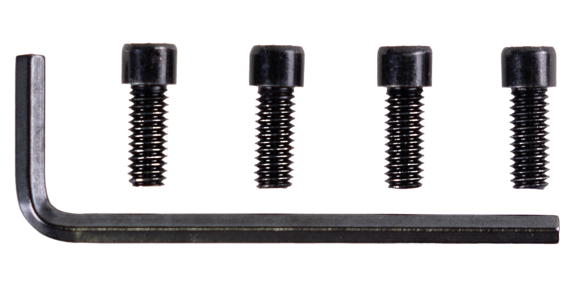 COAST TX300R One-Inch Weapon Mount Attachment Screws