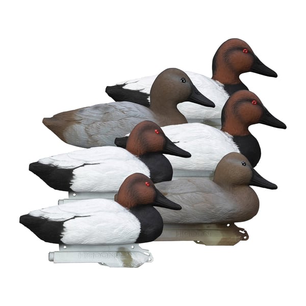 Higdon Outdoors Standard Canvasback 6-Pack Duck Decoy