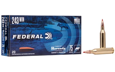 FED V 243WIN 75GR V-MAX 20/200