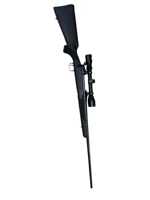 SAVAGE ARMS 111 (Used)