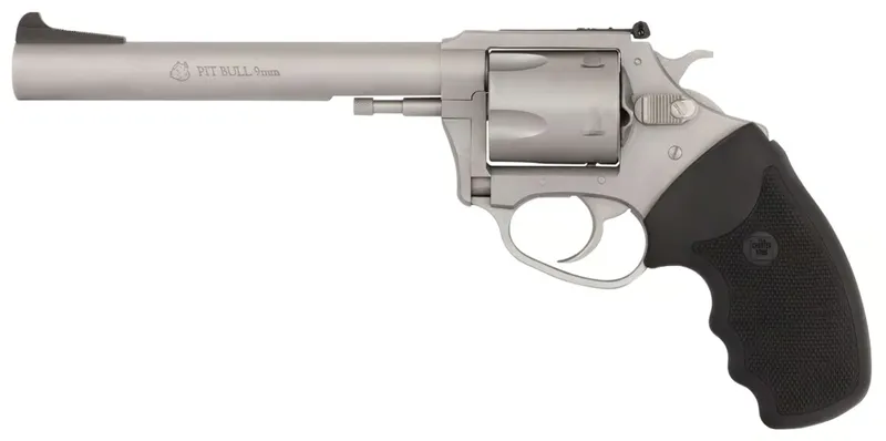 CHARTER ARMS PIT BULL