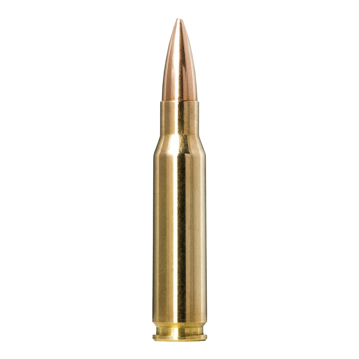 Norma Golden Target Match .308 Win 168 gr BTHP 20rds Rifle Ammo for Target Accuracy - 10177432