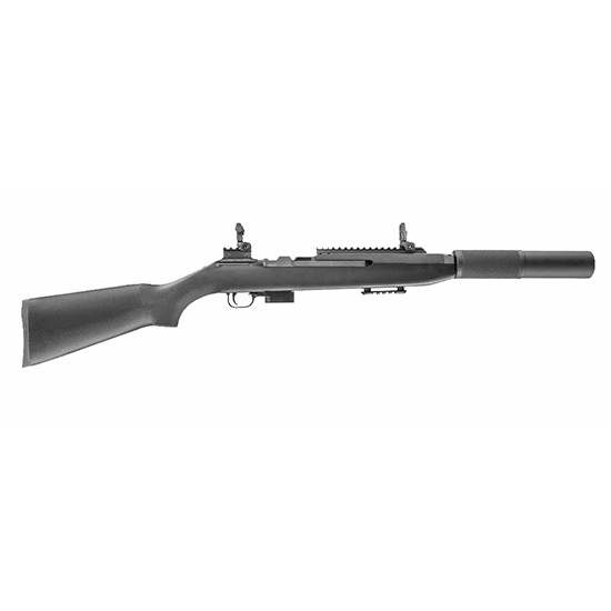 Chiappa M1-9 9mm Semi-Auto Rifle with Flip-Up Sights
