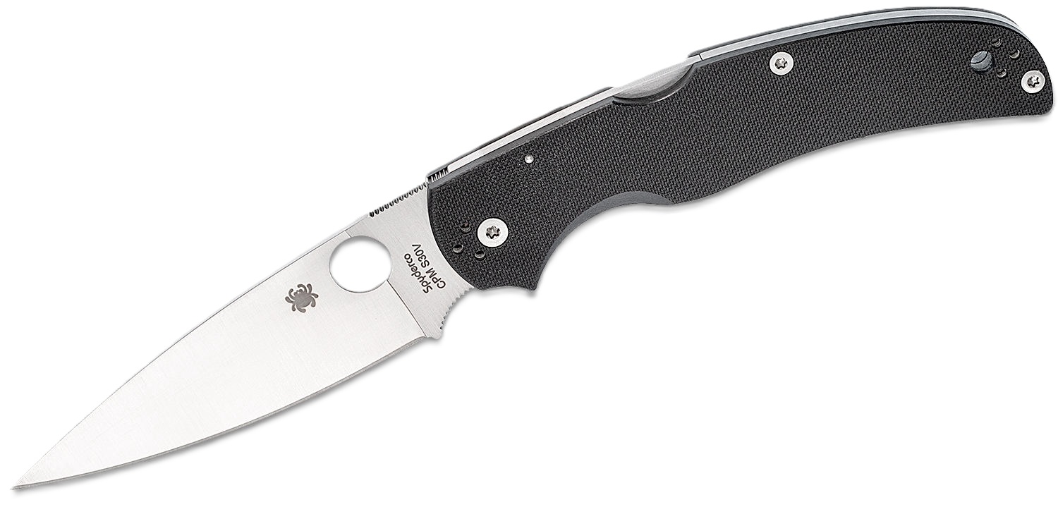 Spyderco Native Chief Folding Drop Point Knife, Black - C244GP