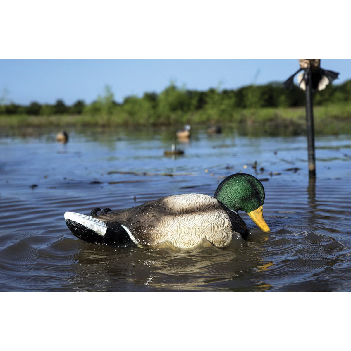 Mojo Outdoors Rippler Decoy, Duck - HW2443